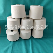 ��z��о��21֧+40D���] ���Ժ��ָ���ܛ ���a��z�� ��z���鼆