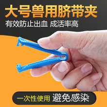 新生仔猪用脐带夹一次性断脐扣小羊羔小狗小猪护脐带脐带夹剪断齐