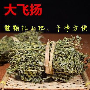 Ұ���Ĵ��w�P���Ѳ��w�P�ݴ���֭�ݹ����� �R���~����װ�