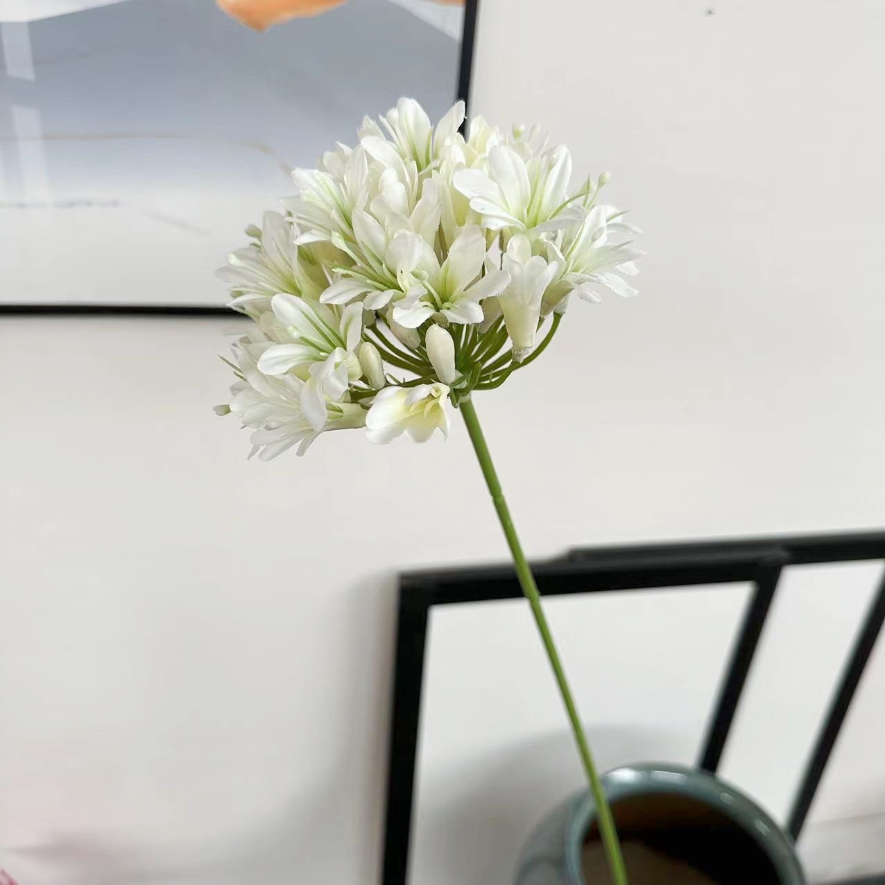 하얀색