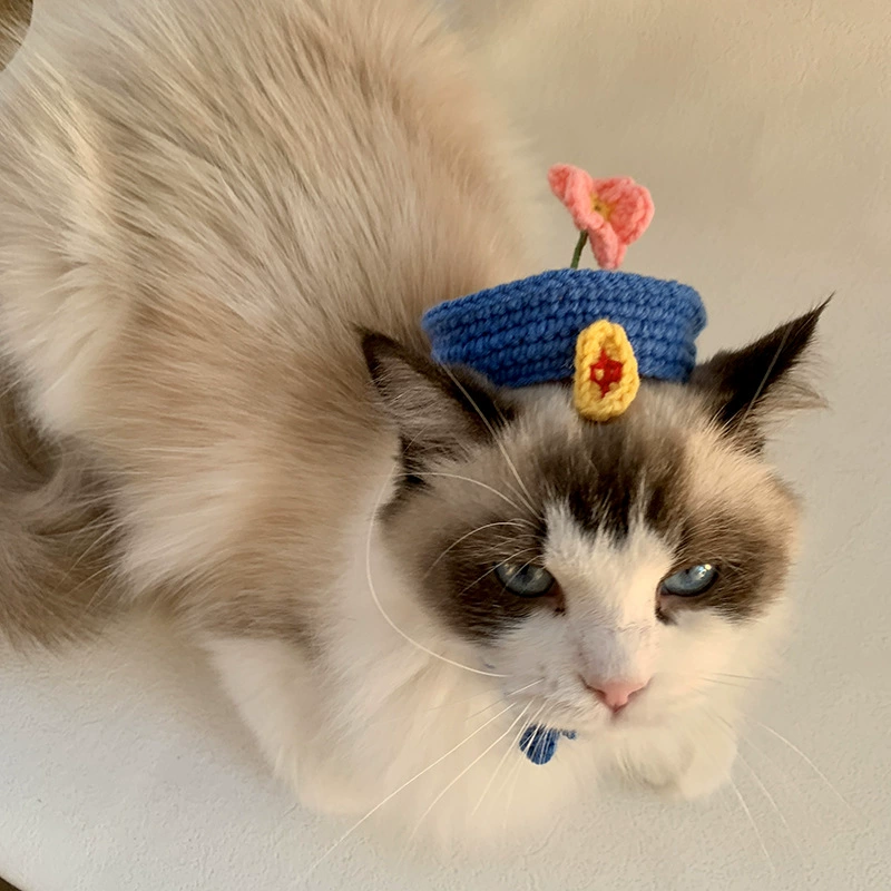 Домашние животные шляпы Кошки смешные вязаные зомби шляпы маленькая собачья шляпа китайский стиль милые фото украшения шапка