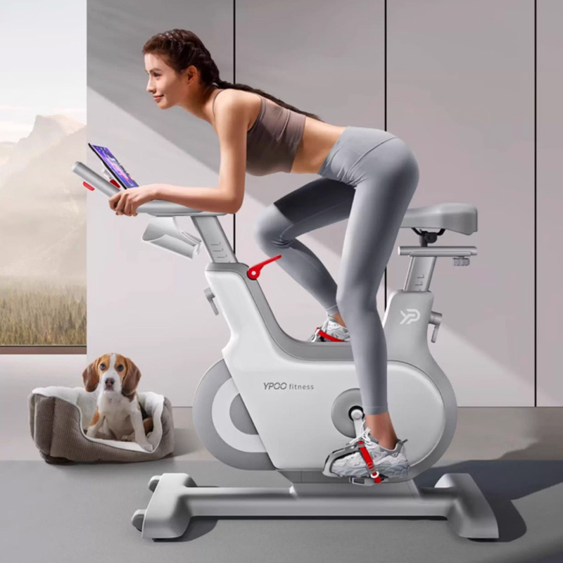 Bicicletas dinámicas profesionales gimnasio de control magnético bicicletas domésticas inteligentes silenciosas equipos deportivos bicicleta para perder peso