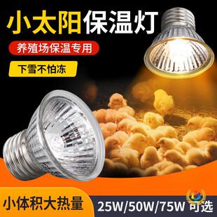 �J���u���؟�С�u���rȡů���Bֳ���^���ӟ�̫ꖟ����^��