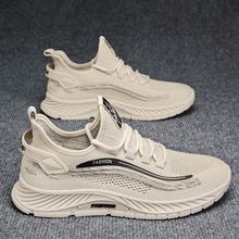 2025������Ь�¿��w��͸������W�������ʿܛ���p���\�����e��Ь