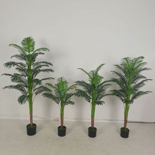 ����Gֲ����ɢβ���Ž�Ƥ������ͼҾ��҃���������b�