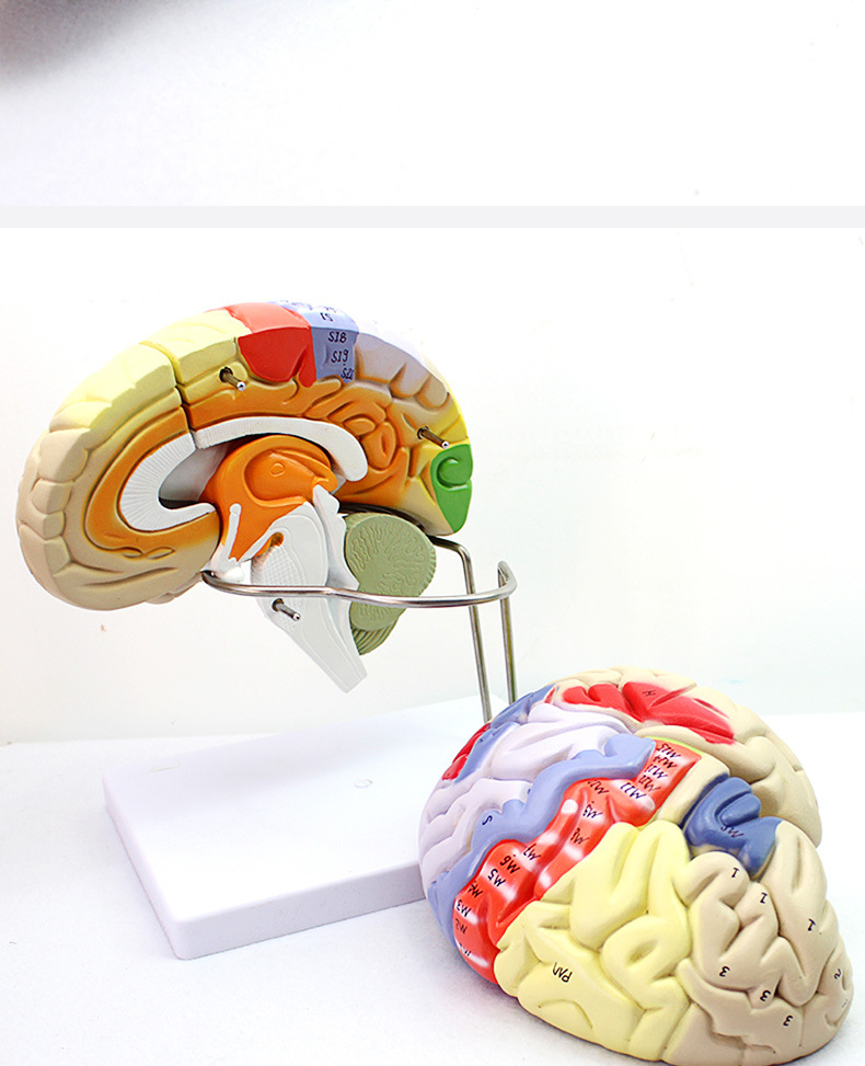 O1CN018XYZWX2Kk6Xo1vDuS_!!3578