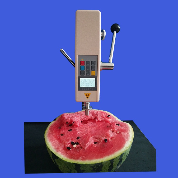 果实硬度计/水果硬度计/果品硬度计 型号 M249072库号 M249072