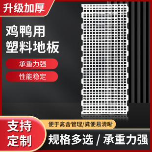 ���l�u�ü��ݼӺ�����©�S �W���u���Z��©ʺ�ذ�r�� �u��W��r