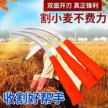 ���x��̳����������P�砵���ݵ��r����X砵����ܼ��XС��砵�