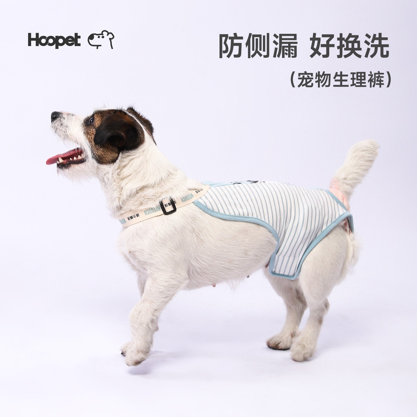 Pantalones para perros, toallas menstruales, pantalones estro para mascotas, pantalones de algodón anti-acoso de Teddy image 1