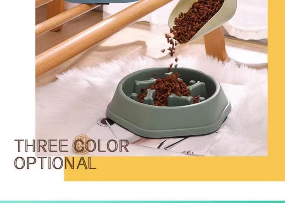 53e8f393-ca0c-4e4f-9ac1-24e3f0c6d369.jpe