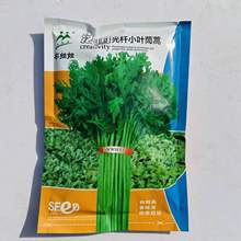 UС~NӿLطNֲN~С߮a