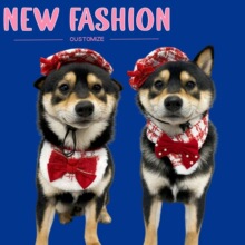 宠物狗狗猫咪蝴蝶结围巾贝雷帽子新年圣诞节日围兜套装跨境热销