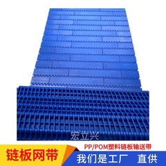 宏立興900平板型ピッチ27.2網帯チェーンプラスチック伝送POM線PP抜きモジュール群出力