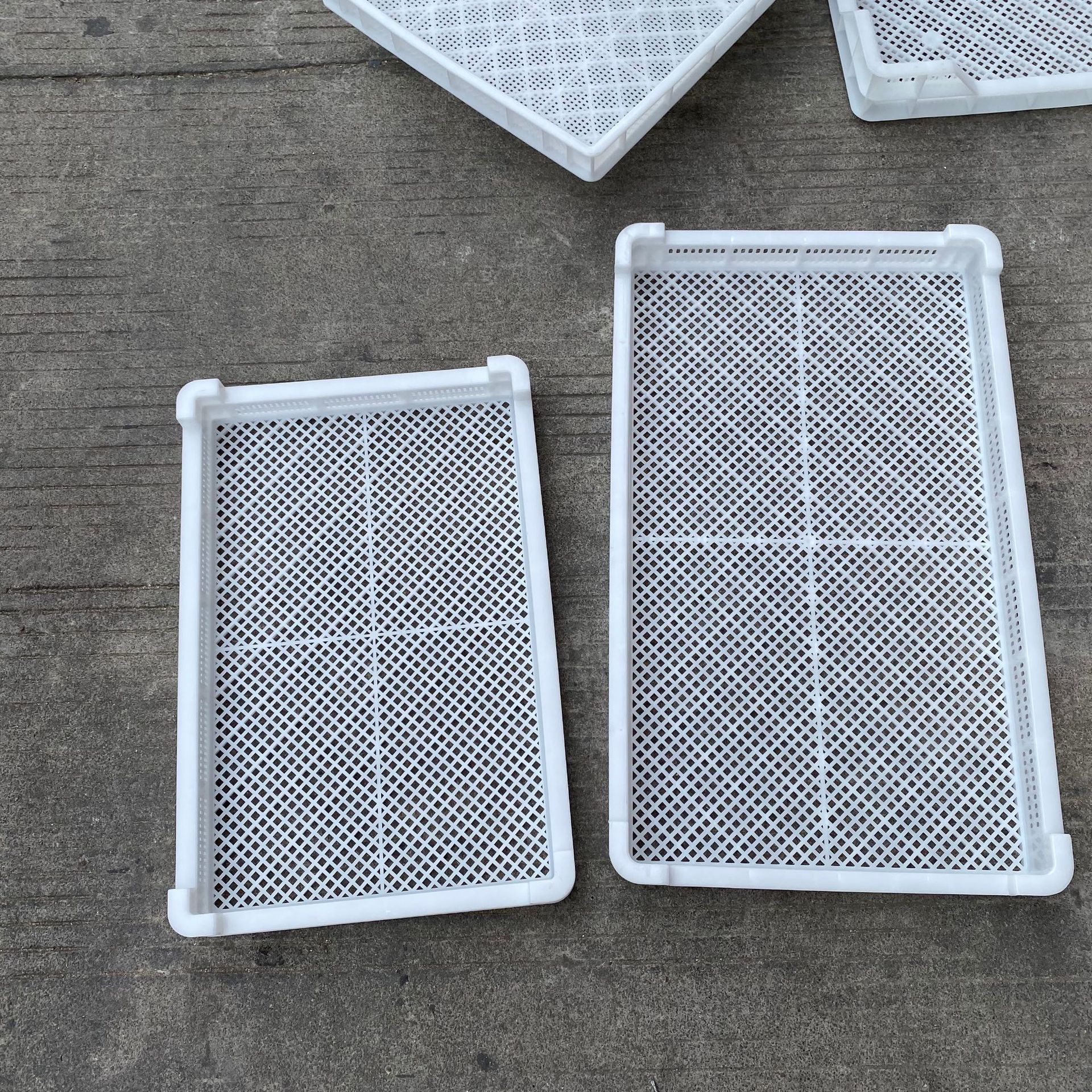 食品级耐高温塑料网盘 单冻盘 单冻器 烤盘 烘干盘 信广厂家直销