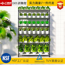 新品花架6层防水防锈盆栽绿植置物架 落地花卉阳台架子盆景水培