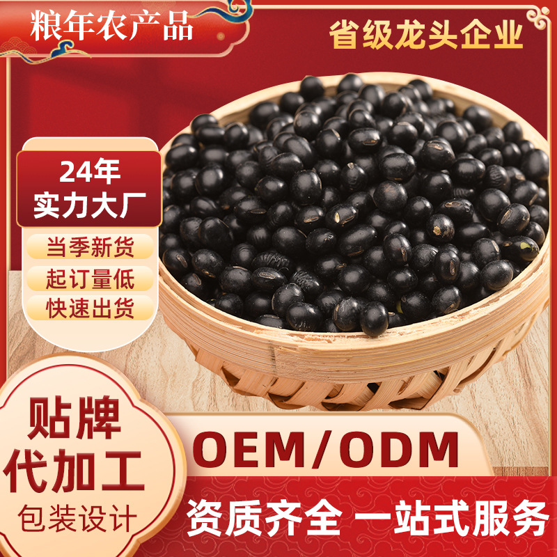 绿心黑豆生豆贴牌定制可发芽豆浆原料五谷杂粮农家自种东北黑豆子