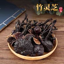 竹灵芝批发云南竹灵芝竹干货量大从优野采紫养生滋补药材紫灵芝
