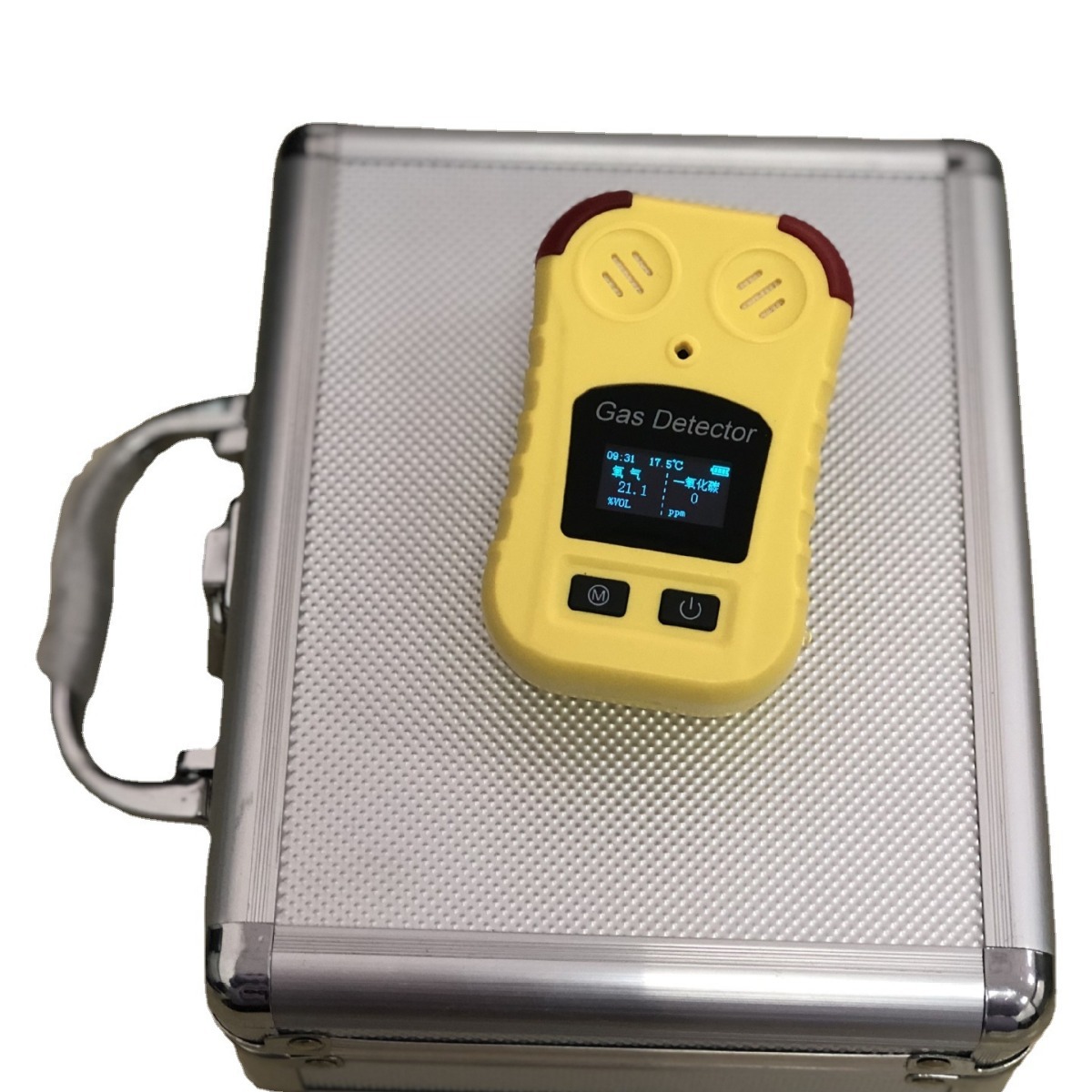 2025款便携式WL-3000氮气气体浓度检测仪，氮气探测器