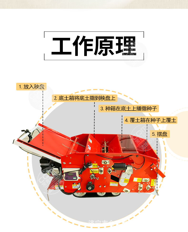 育秧摆盘机 (4)