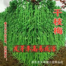 ͥԺ׷N߲֦÷LǷNL_1.2ظ߮a