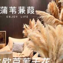 ��Ȼ�JȔ�ɻ������b���Ȕ��ؿ͏d�[�����߻�Y�۲�����������