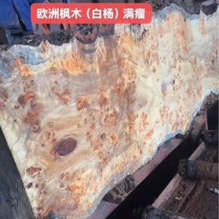 �W�ޗ�ľ �ח���� �������޻������ ���o��̴���� ���������ľ