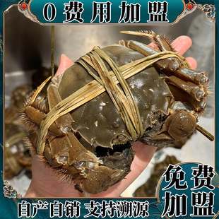 �r����lз�\�����˴������lз�Fُ���l�������lзꖳήa�^ֱ