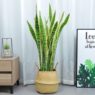 ��߅��Ƥ�m���Ի�β�m�����҃ȿ͏d�k���ҾGֲ����ȩ�����՚��辰