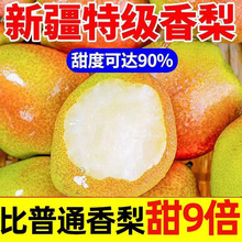 香梨梨子3新疆甜薄青皮新鲜水果源自库尔勒香梨10新疆斤脆5二级