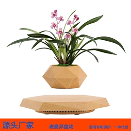 塑料工艺品;展示架;其他装饰摆件