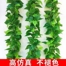 �ٗl�G�}�~�ٻ��b��҃ȾG�}����ֲ��٘��~���ϻ����bڒ�