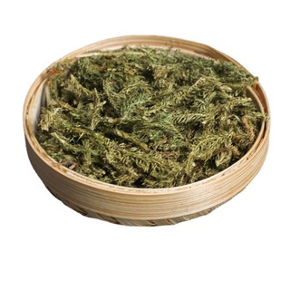 ���l�в�ș�������ݮ�����؛ɫ���o�s500�˴����F؛һ�����l