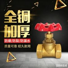 AMICO Brass Globe Valve NPT Thread �����¼Ӻ��S�~��ֹ�y
