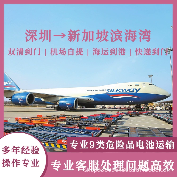 Три юаня литиевые батареи Шэньчжэнь в Сингапур Marina Bay Air Shipping, включая налог двойной очистки до двери CIF/DDP