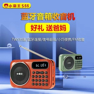 Little Overlord S55 radio card speaker portable mini stereo music player for the elderly storytelling machine