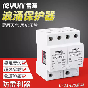LYD1-I30 Class I Surge Protection Lightning Protector 1-2-3-4P Shanghai Leiyuan Surge Protector 350/10