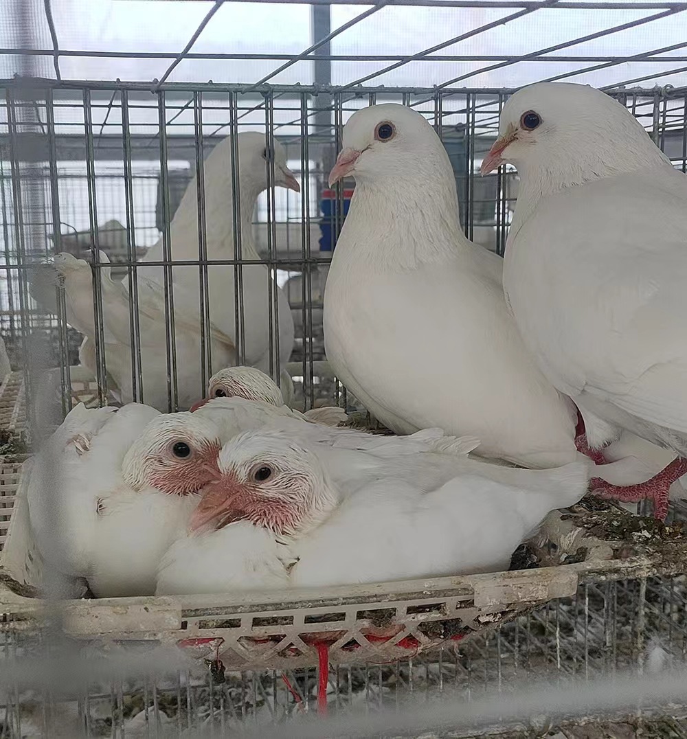 a3f8260745a708bdfb087c099e6ff7