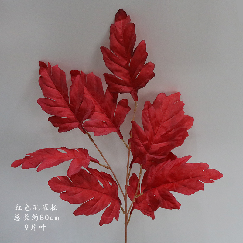 붉은 공작 소나무 가지