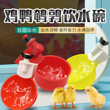 全自動雞飲水碗家禽自動小雞飲水器雞水碗鴨鵝鴿子喂水養殖設備