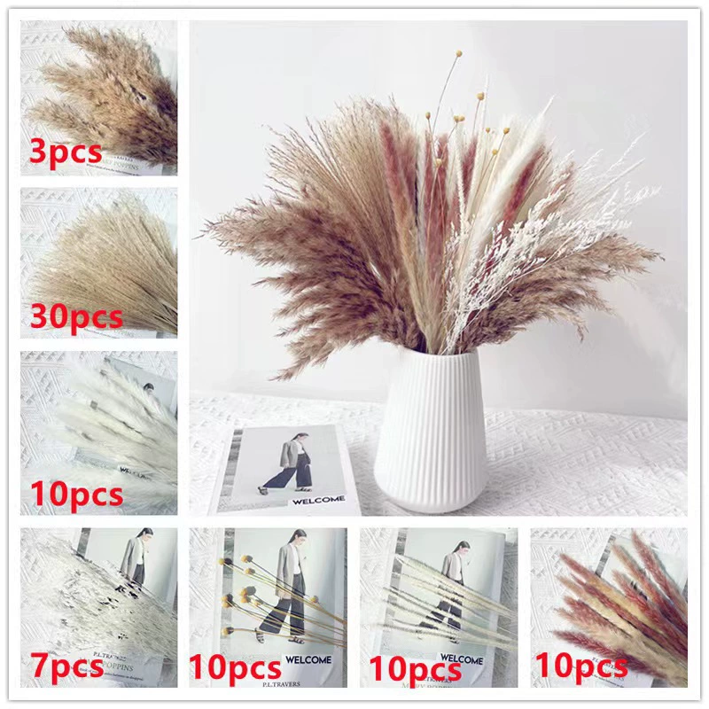 Organic set, wholesale, high-quality style