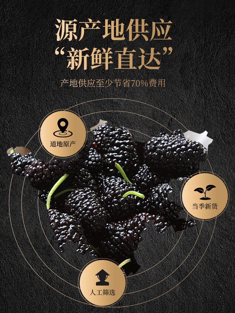 Dried Mulberry Fruit Sang Shen Zi 1500g Xinjiang Black Mulberries for Tea Wine and Snacking key features