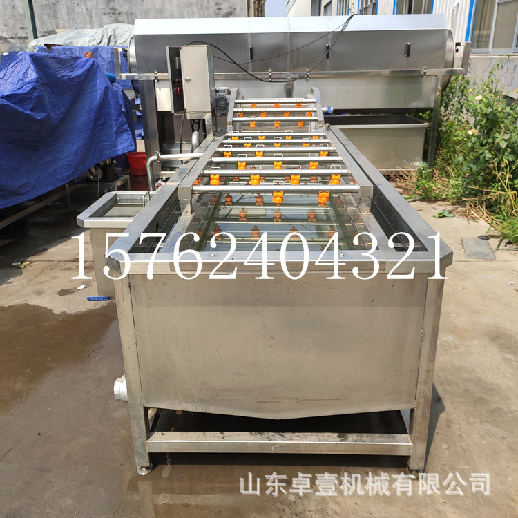 油菜茼蒿喷淋式清洗机苦菊菜花全自动气泡清洗机芥蓝鸡毛菜冲洗机