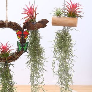 �՚��P��o��ֲ������횿՚�����}���ڵ����҃ȴ����Gֲ����