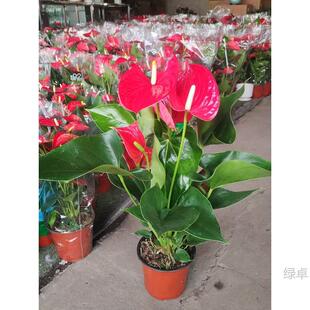 ���~�t�������ļ��_���k�����̨�^�������՚�ֲ���ˮ��Gֲ���]