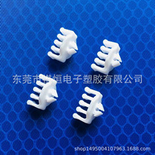 λA P־ 侀늾̶  ־a 