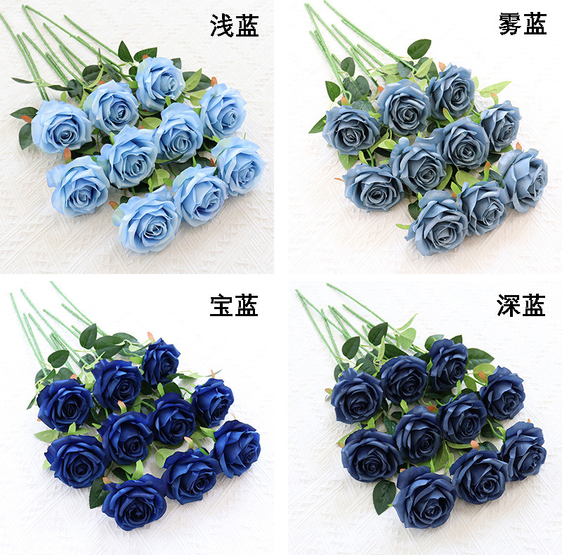 单支卡罗拉玫瑰 (4).jpg