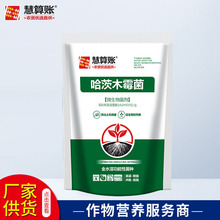 生产微生物菌剂哈茨木霉 销售聚谷氨酸增效鱼蛋白 哈茨木霉菌