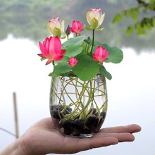 Sl180NNˮֲNӺɻNɏɏN