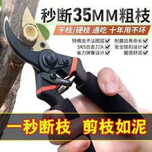 sk5����ʡ����֦��֦��̖�������֦�����È@�ּ�����ľʡ����